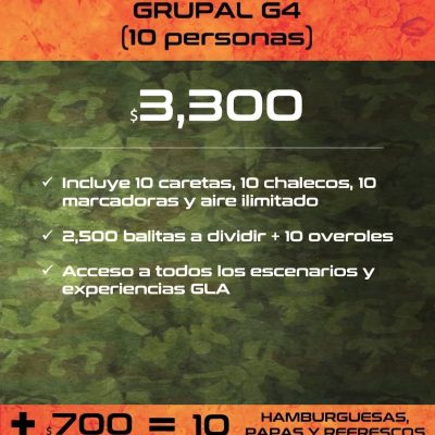 grupal-g4
